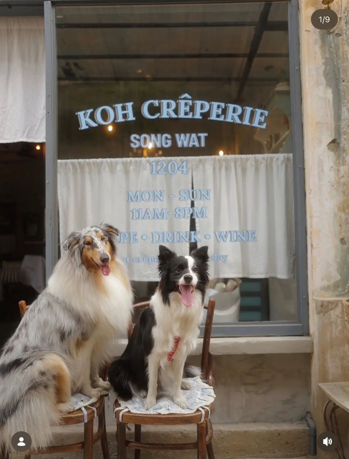 Koh Crêperie pets image 2