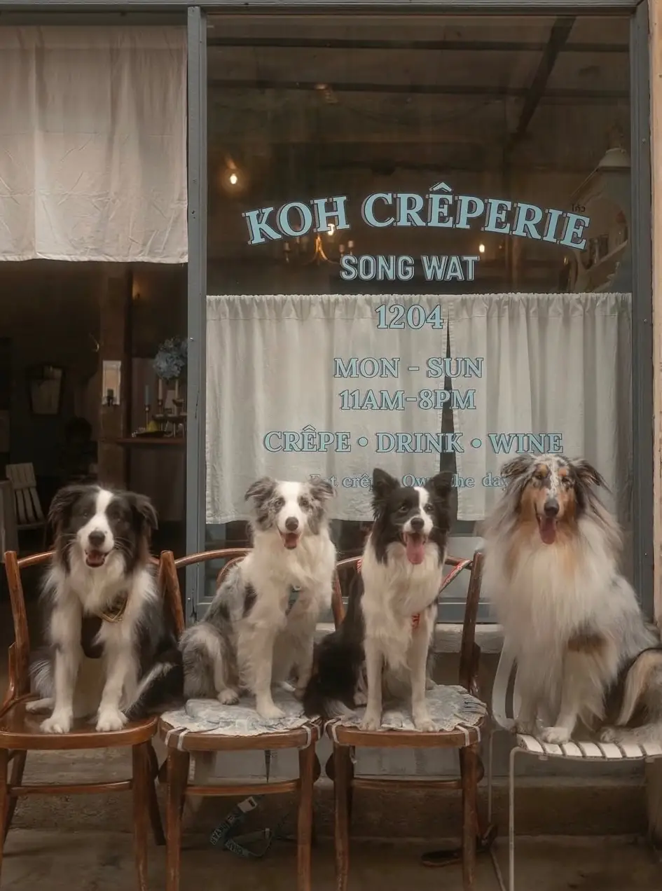 Koh Crêperie pets image 1