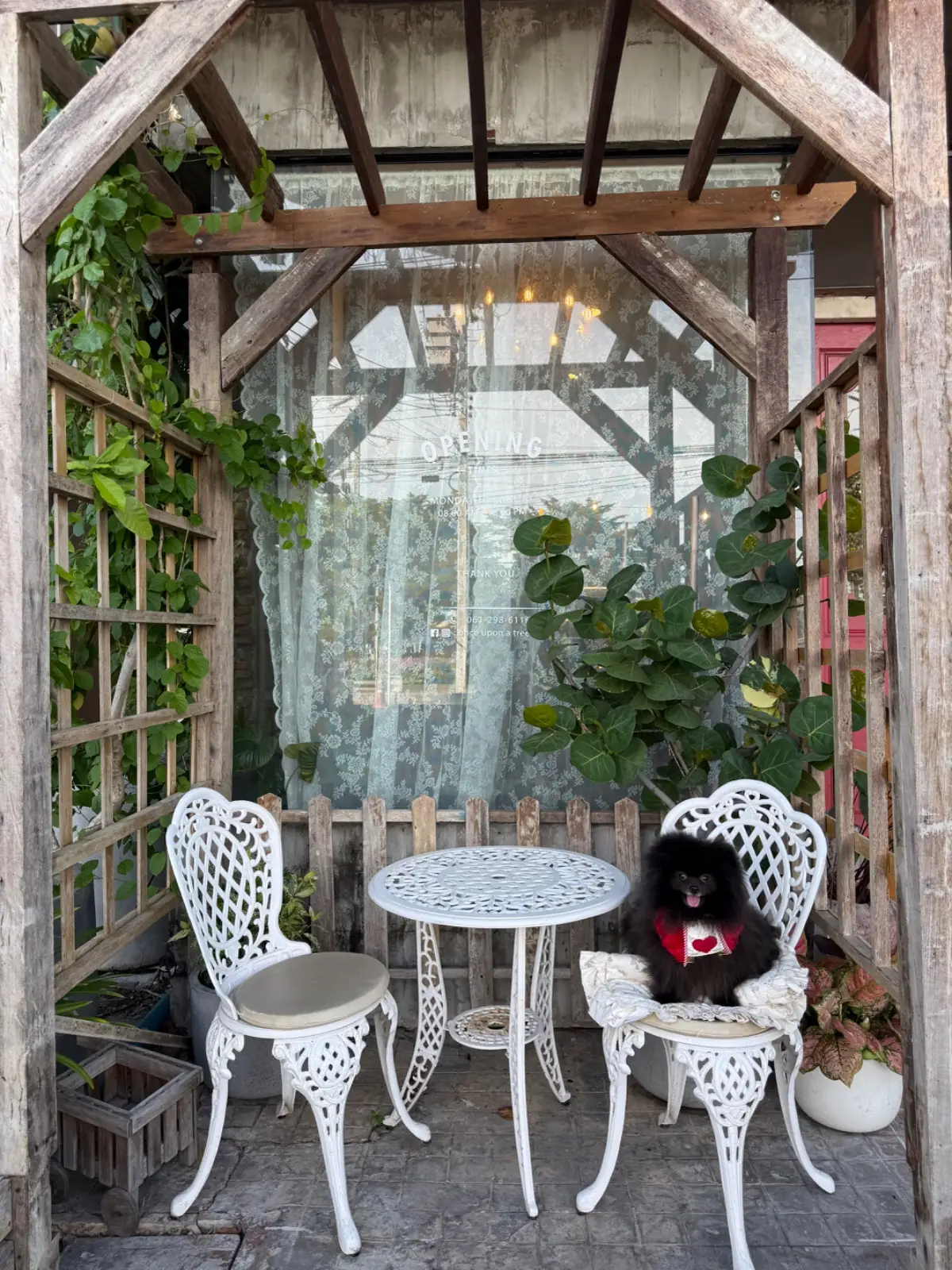 Once Upon A Tree Cafe overall image 2