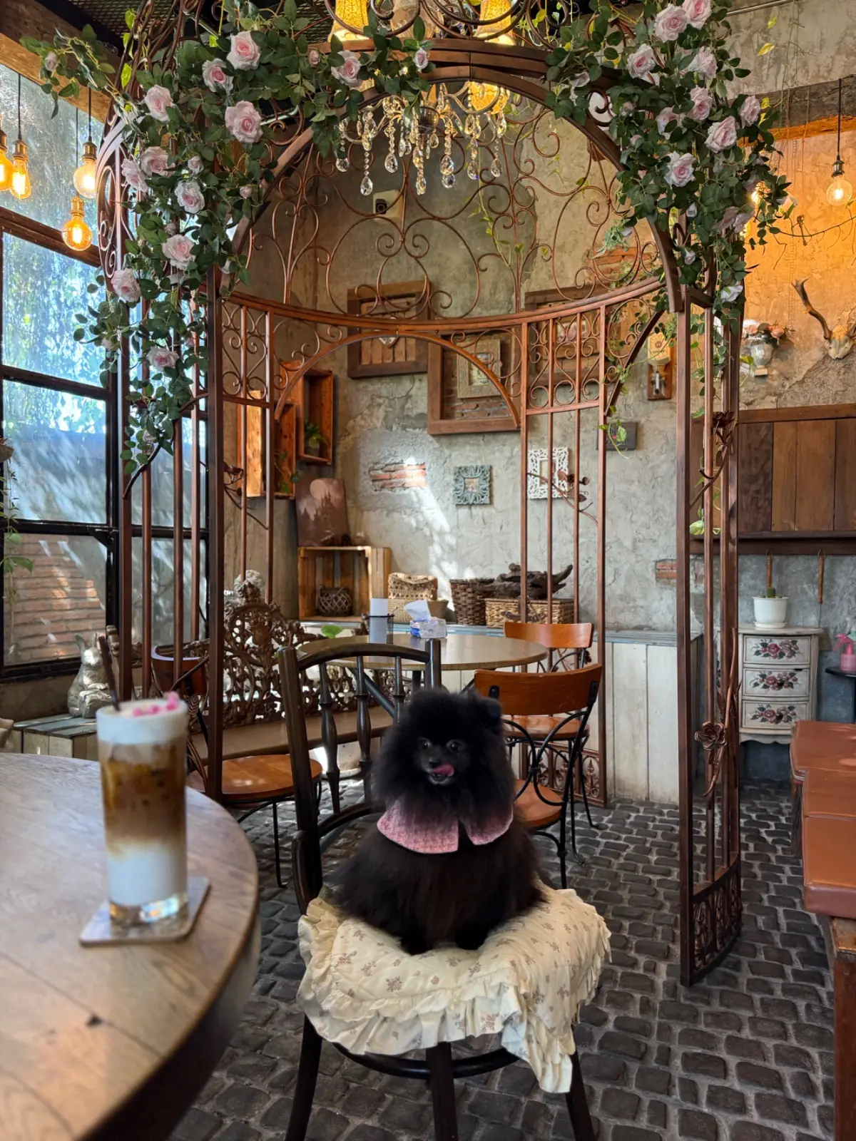 Once Upon A Tree Cafe overall image 1