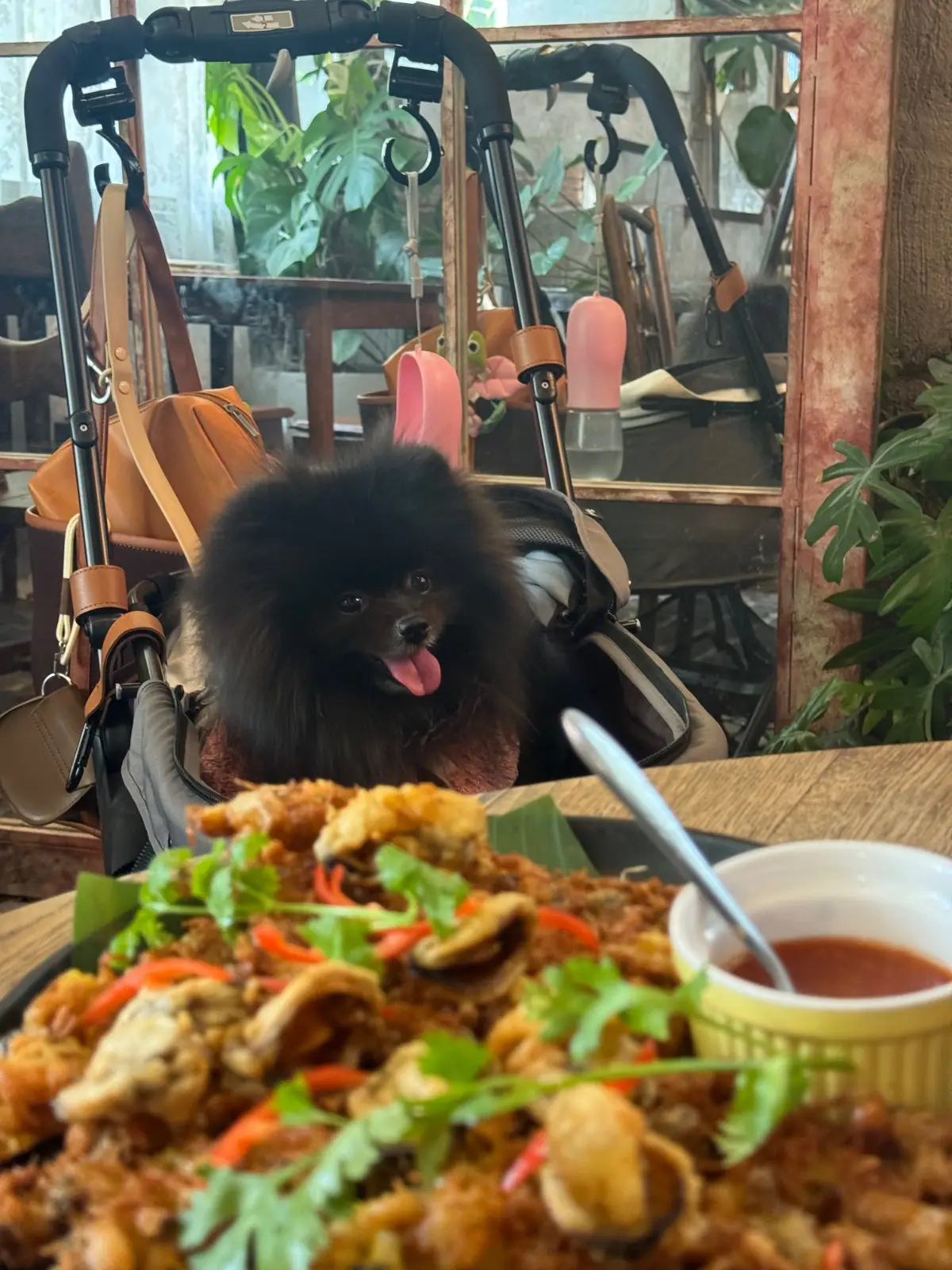Once Upon A Tree Cafe pets image 4