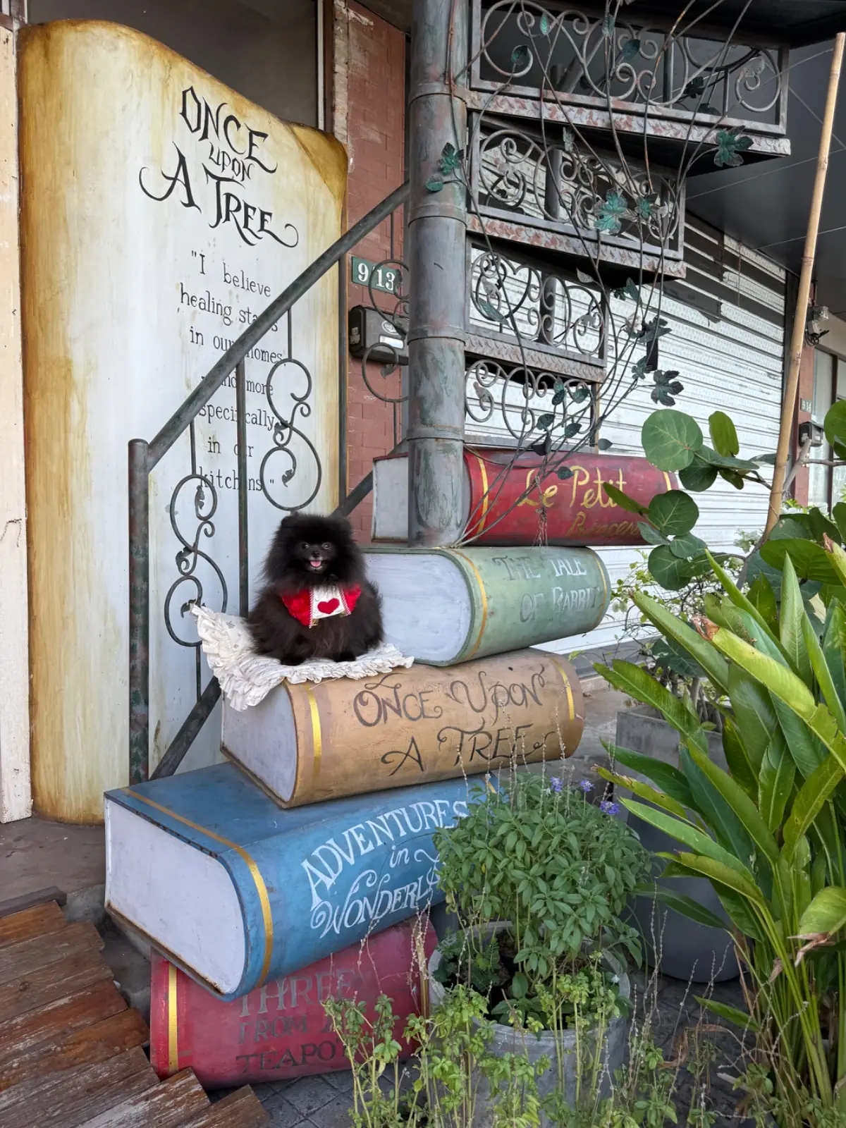 Once Upon A Tree Cafe pets image 1