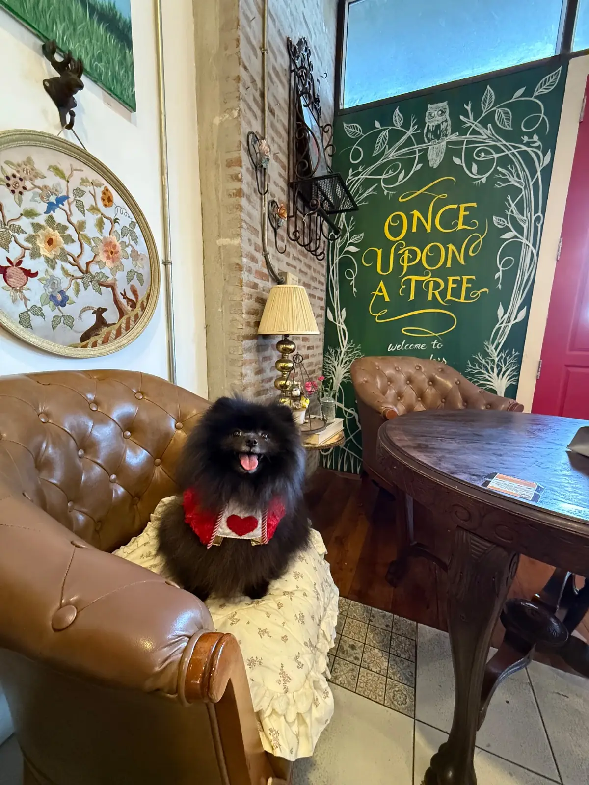 Once Upon A Tree Cafe pets image 2