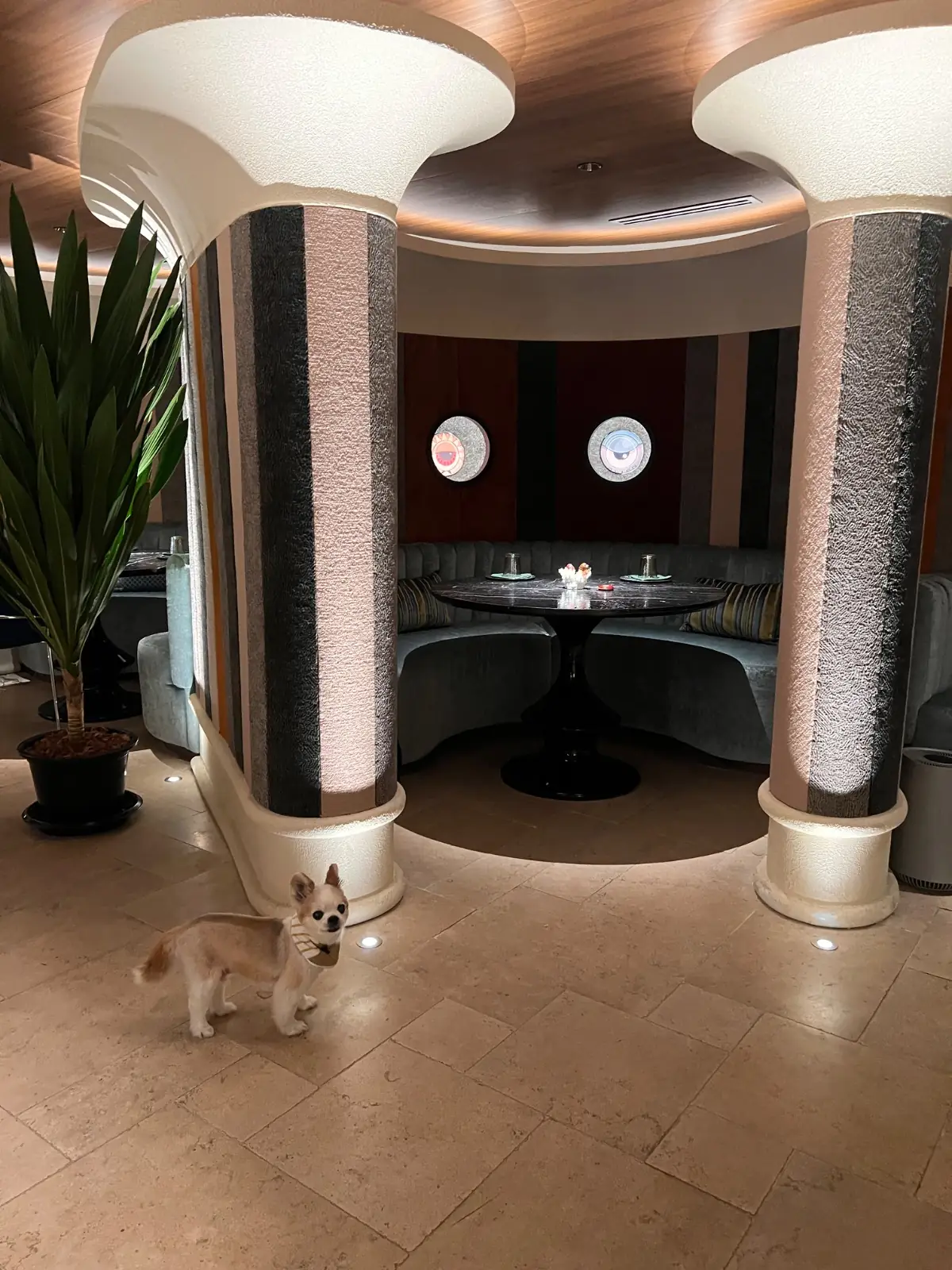 Alien overall image 1