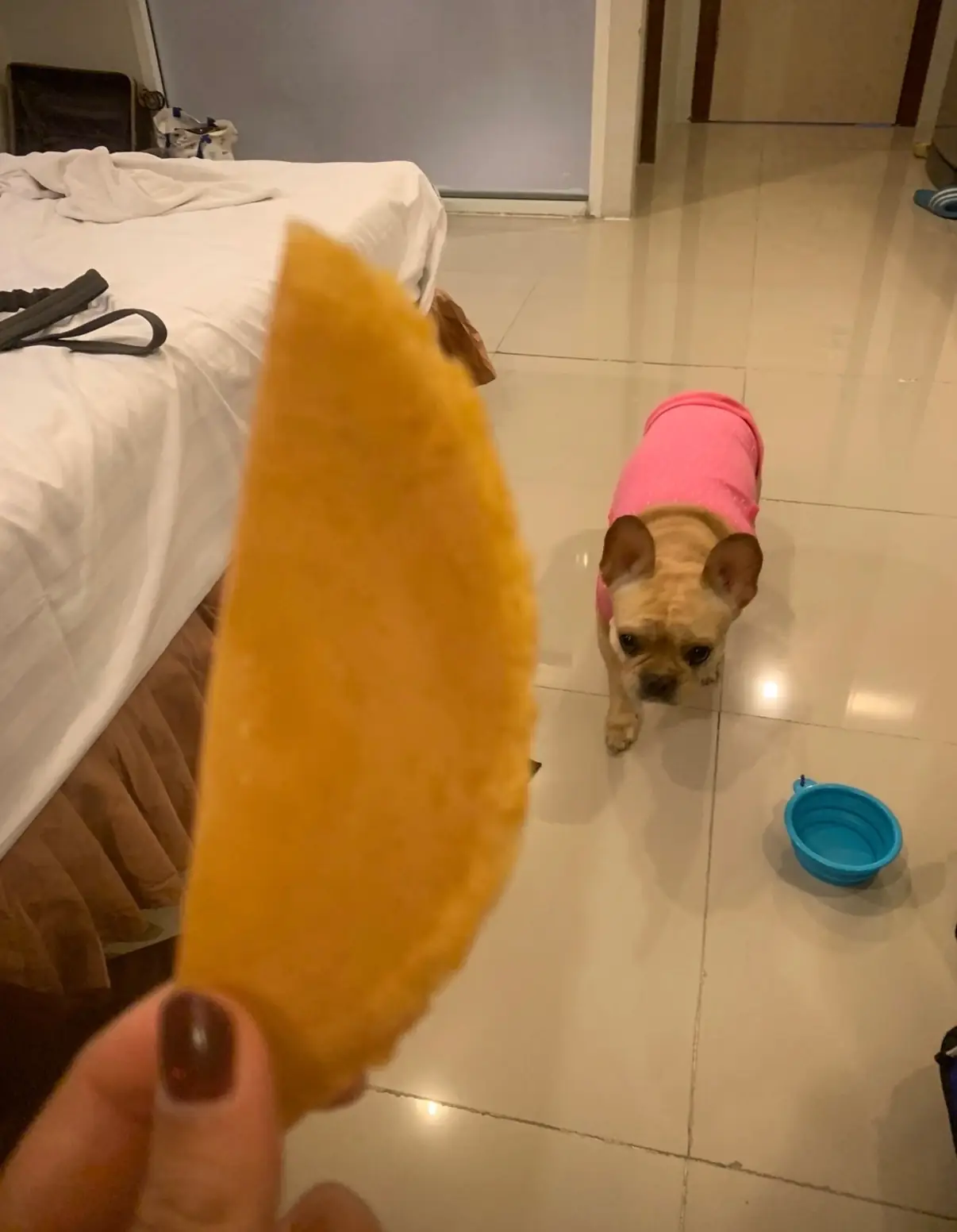 Retreat Resort Pattaya pets image 1