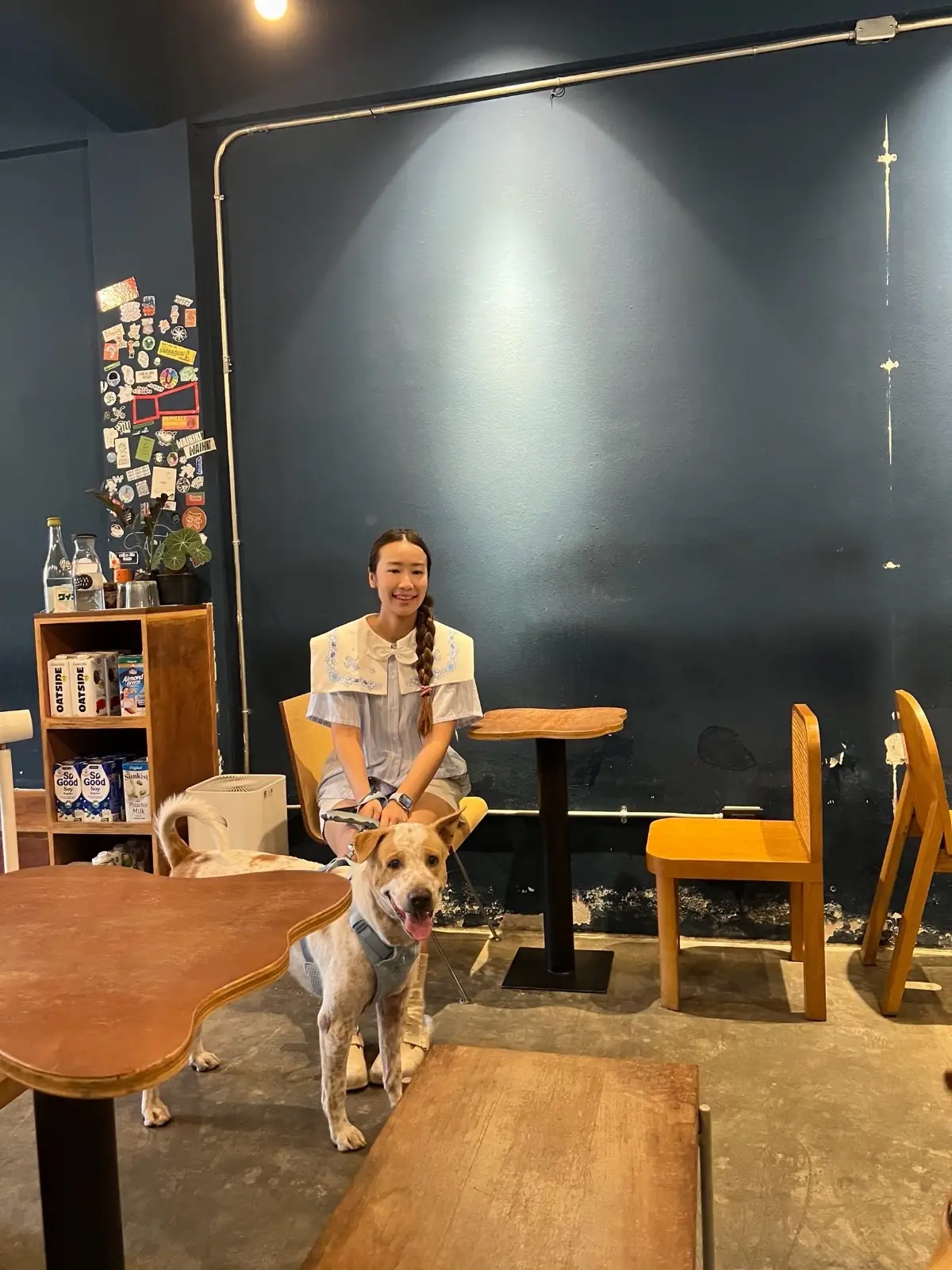 Never Snooze Coffee pets image 2