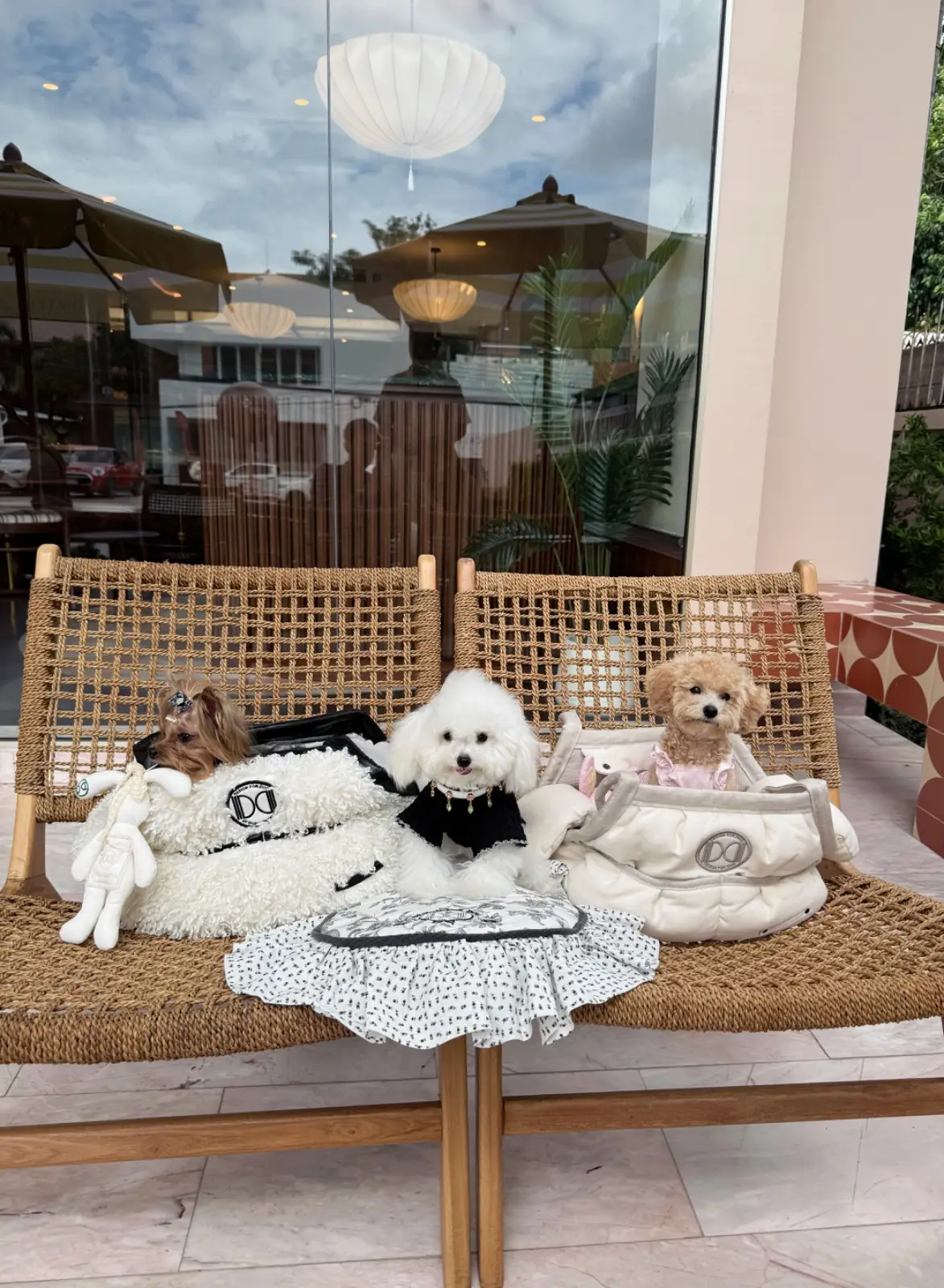 Serpens - All Day Dining pets image 4