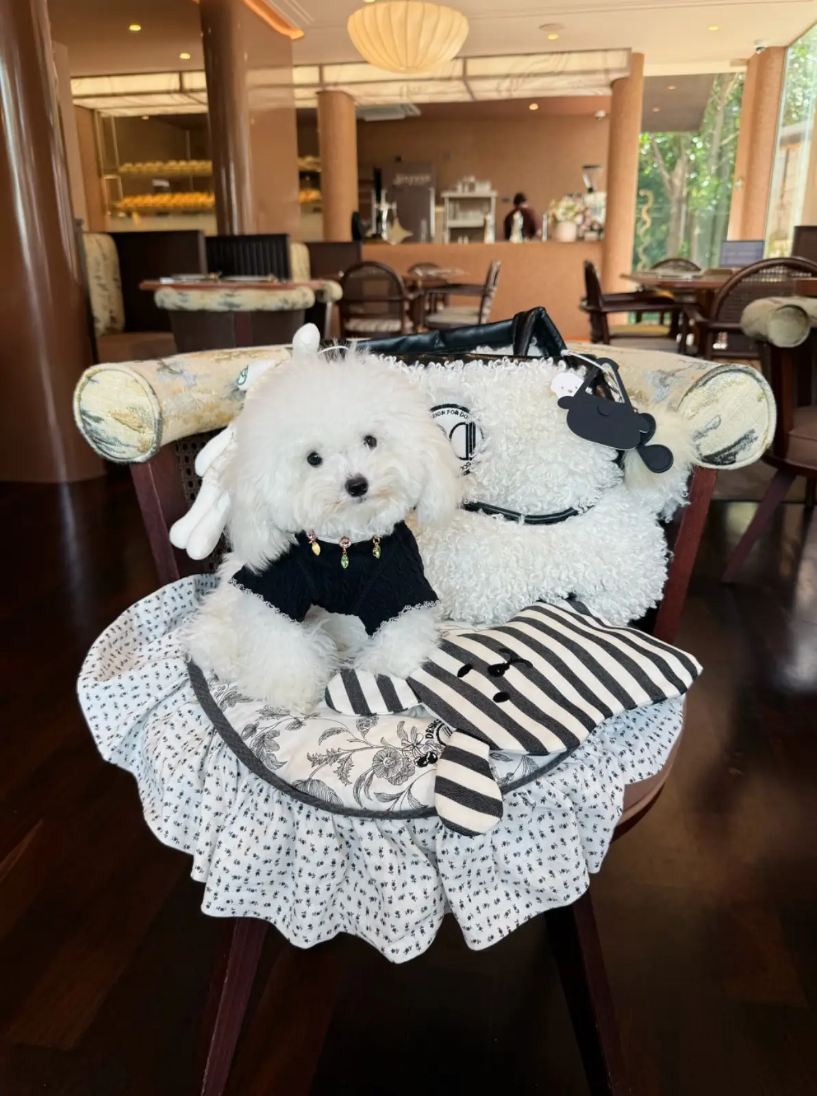 Serpens - All Day Dining pets image 2
