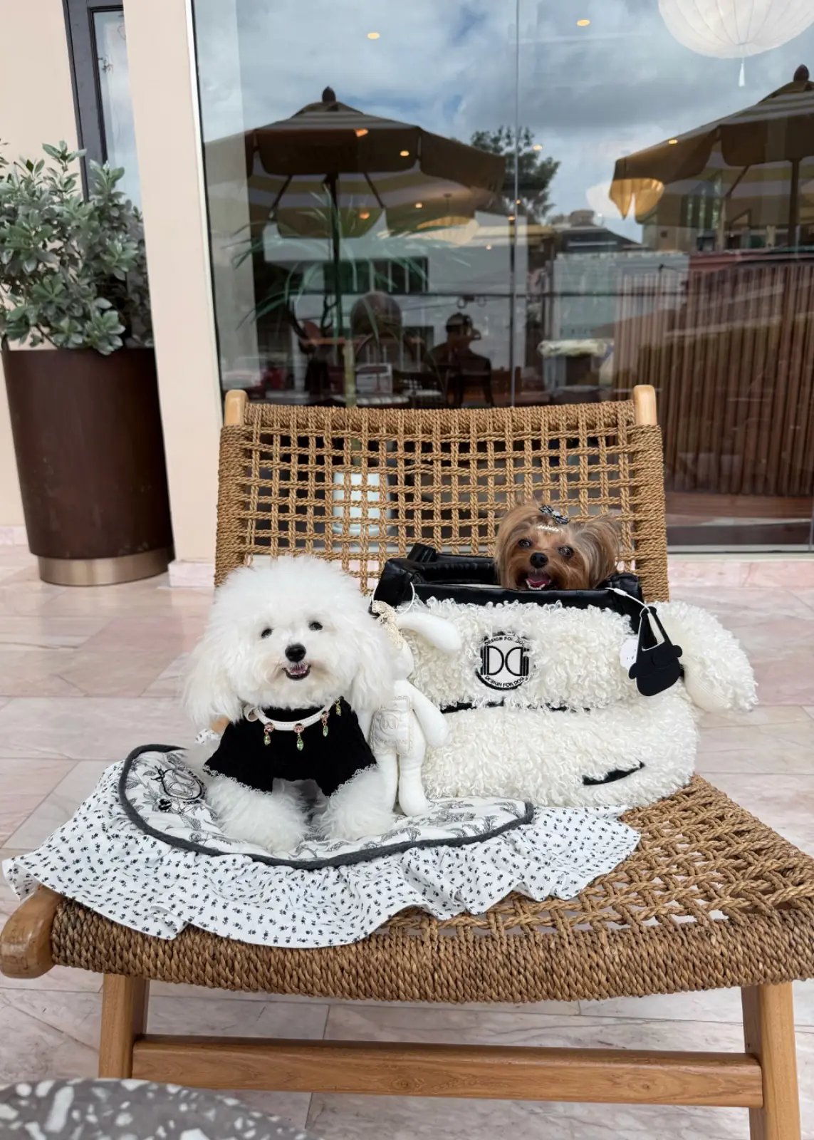 Serpens - All Day Dining pets image 5