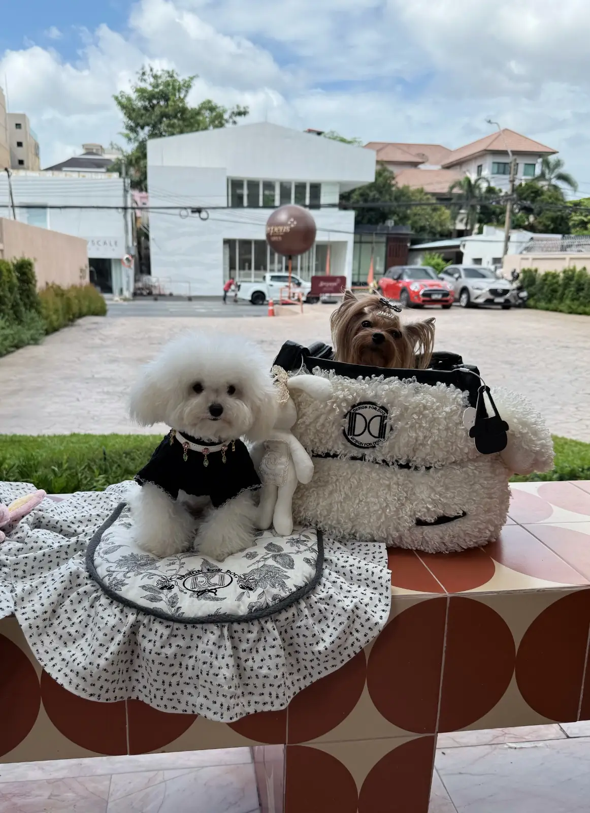 Serpens - All Day Dining pets image 1