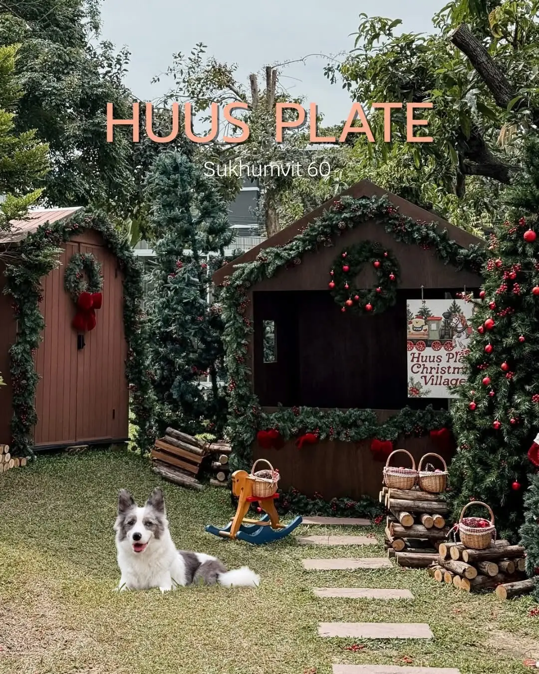 Huus Plate pets image 1