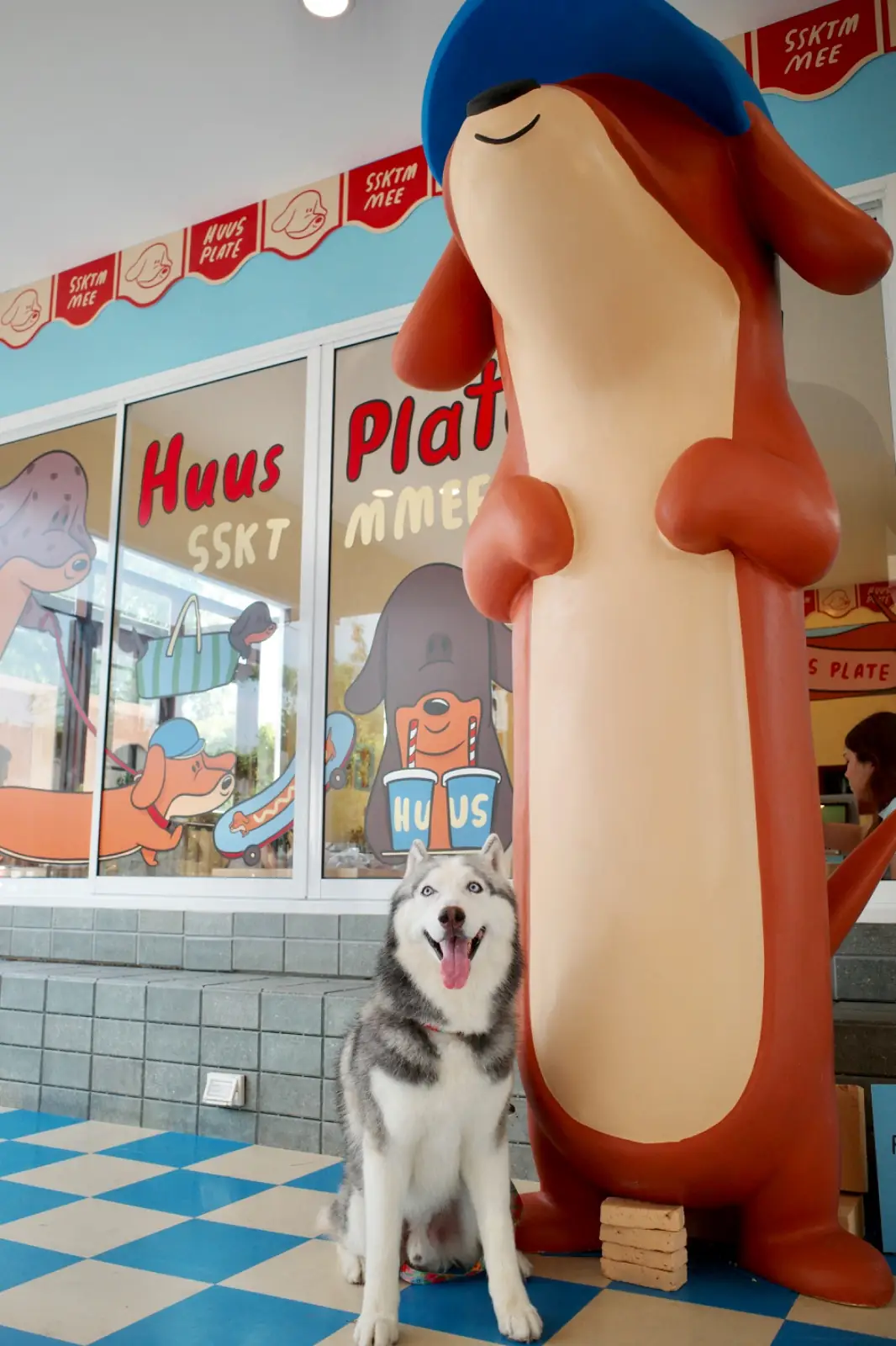 Huus Plate pets image 5