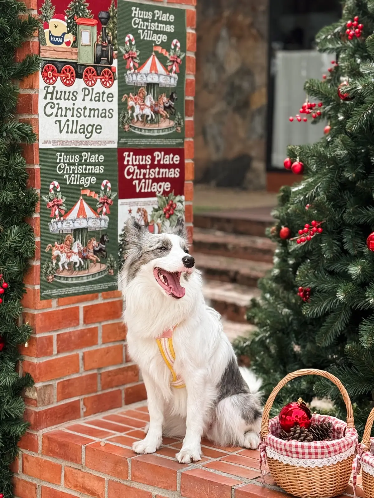 Huus Plate pets image 3