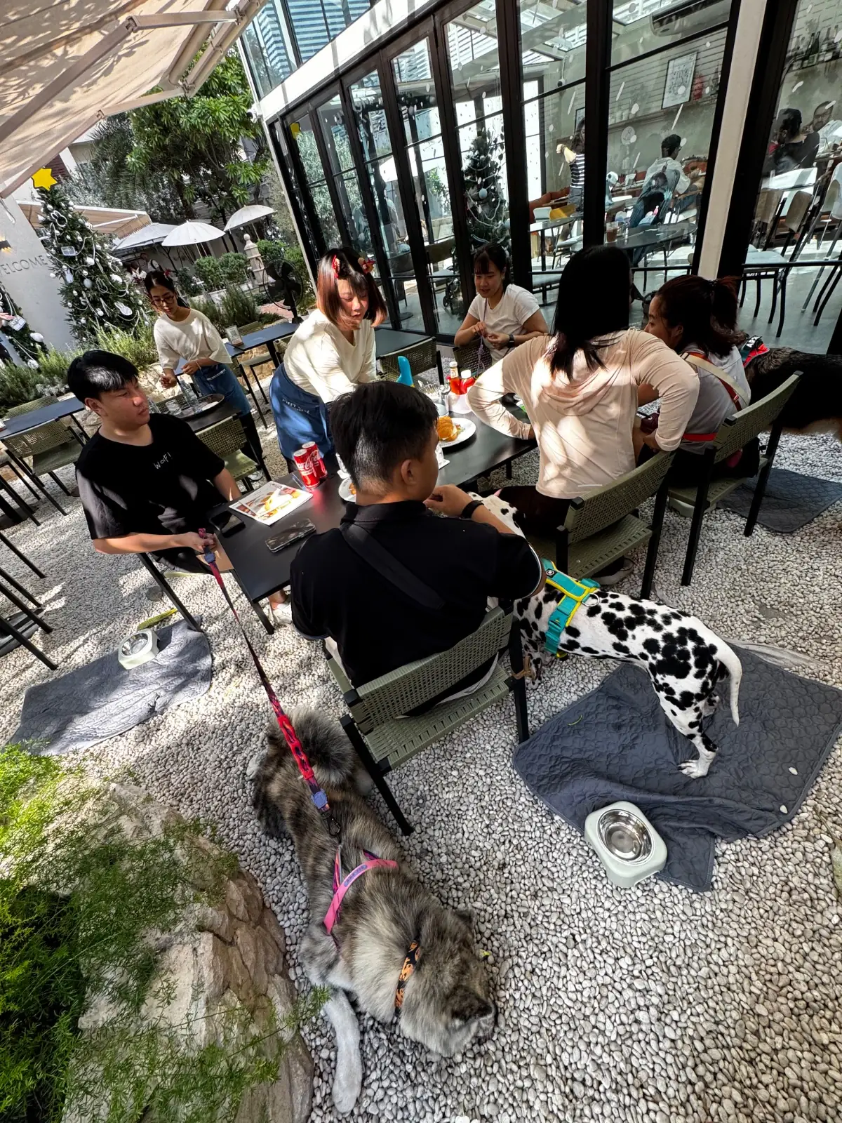 Miffy Cafe ambiance image 1