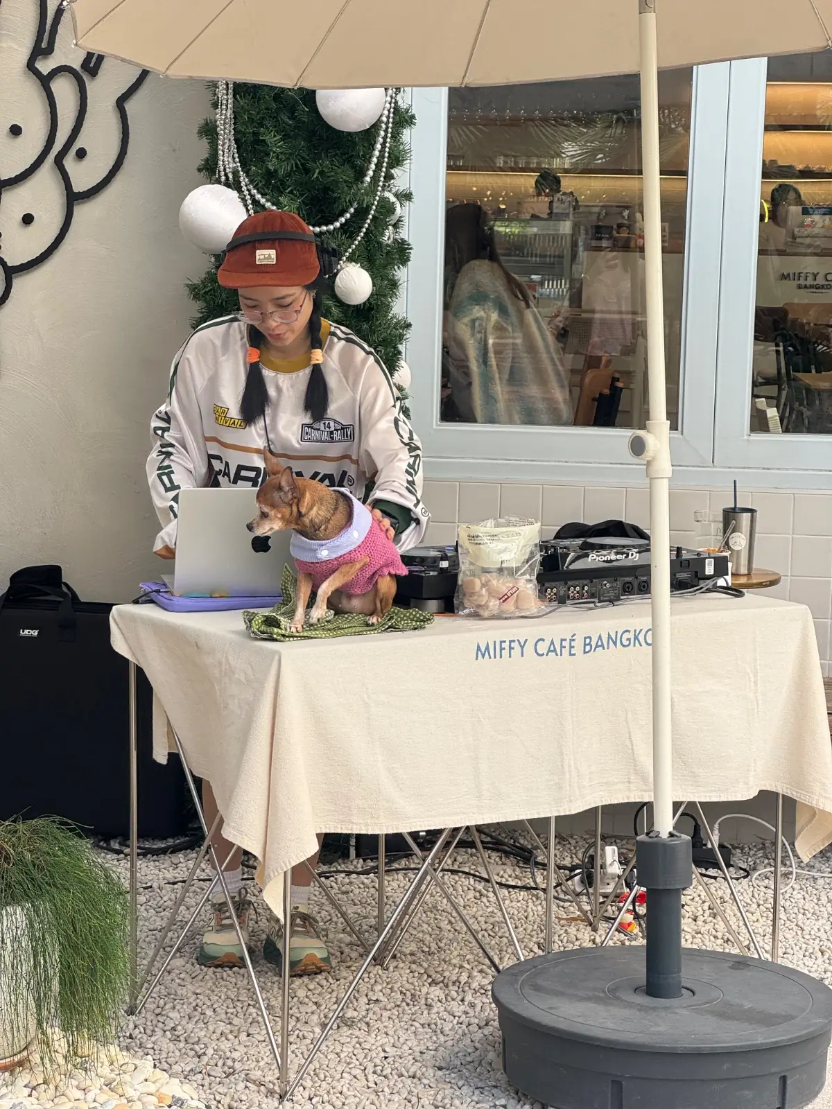 Miffy Cafe pets image 1