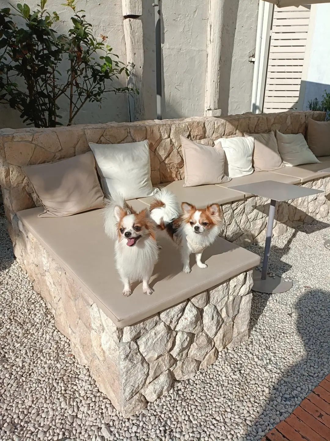 Miffy Cafe hero image 2