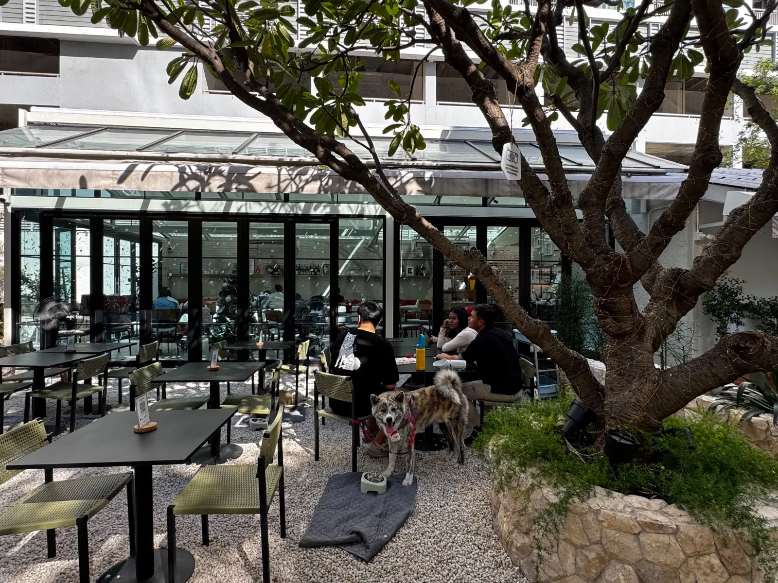 Miffy Cafe - Bangkok overall image 1