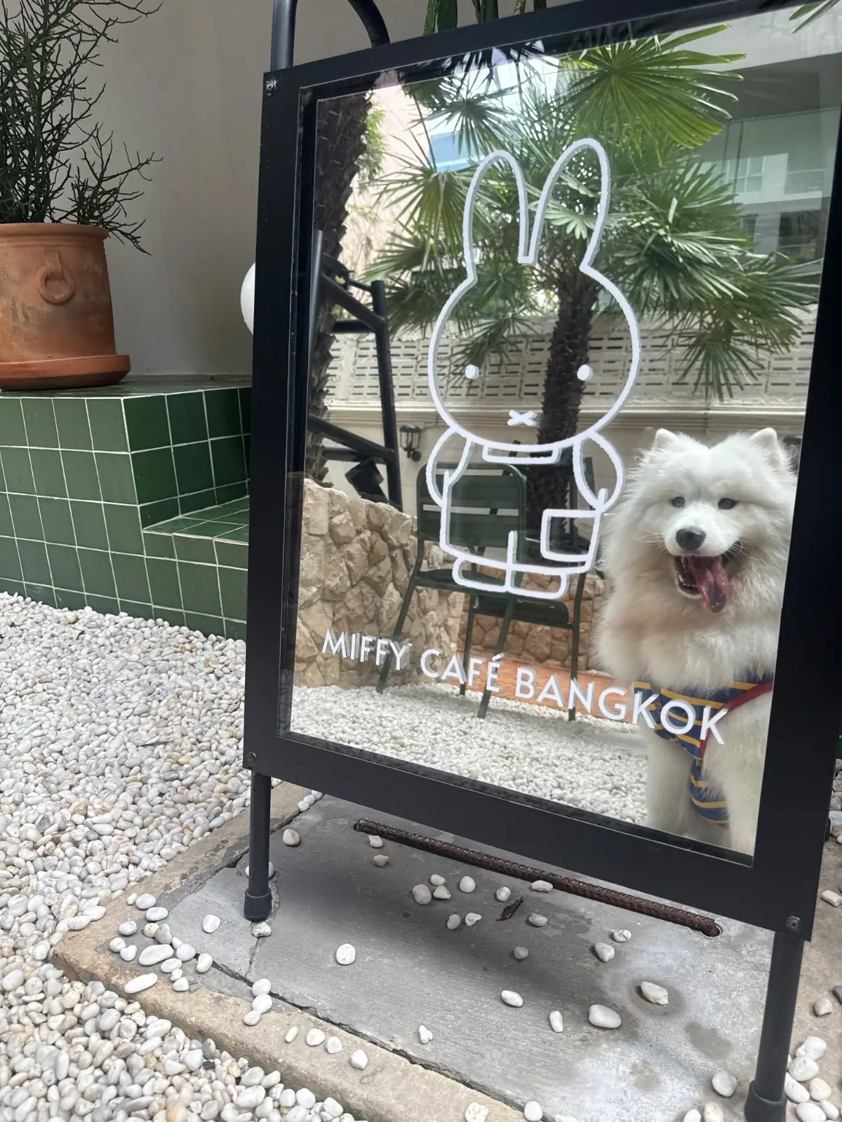Miffy Cafe - Bangkok pets image 8
