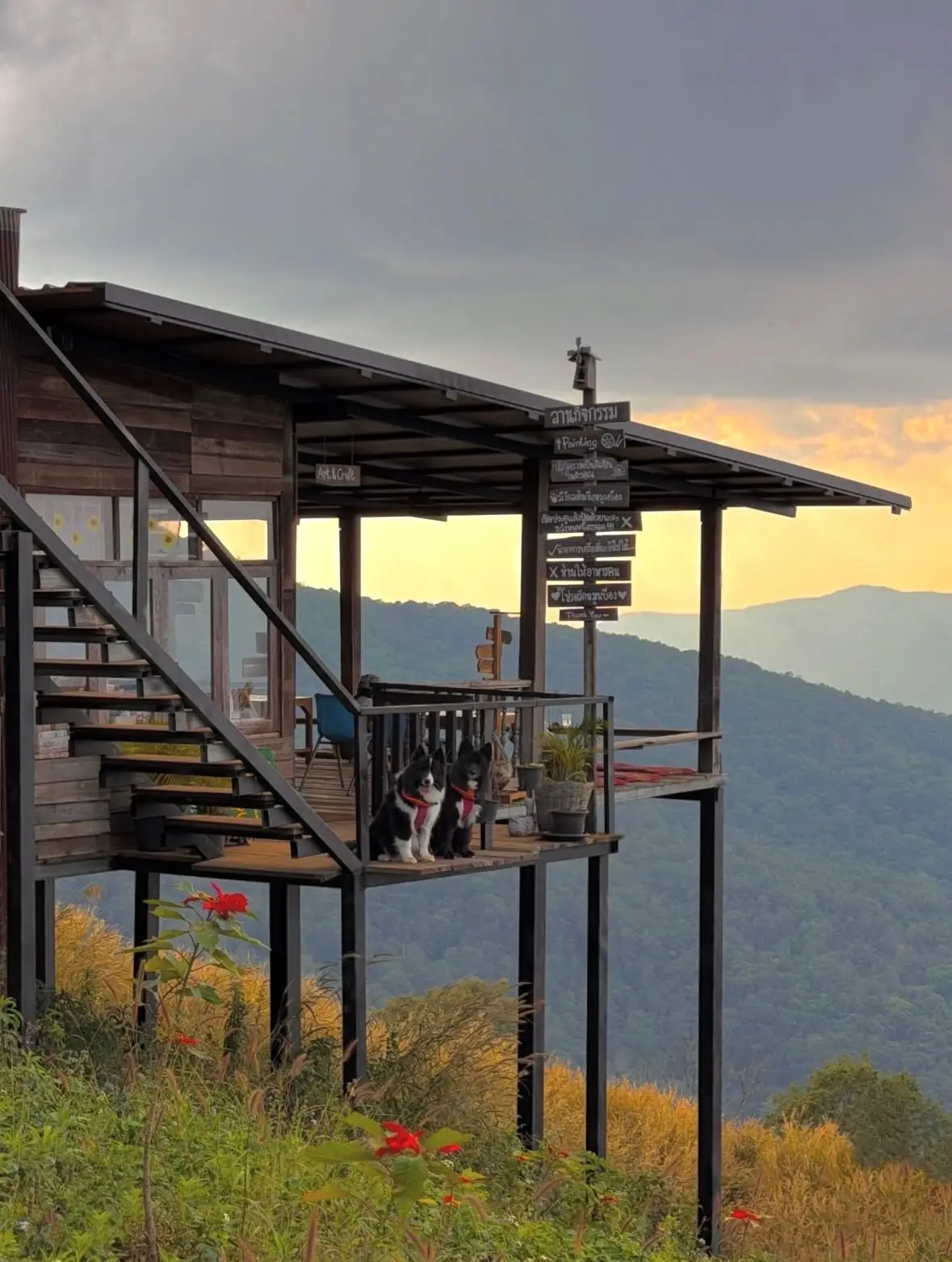 Jansom Home & Cafe pets image 1