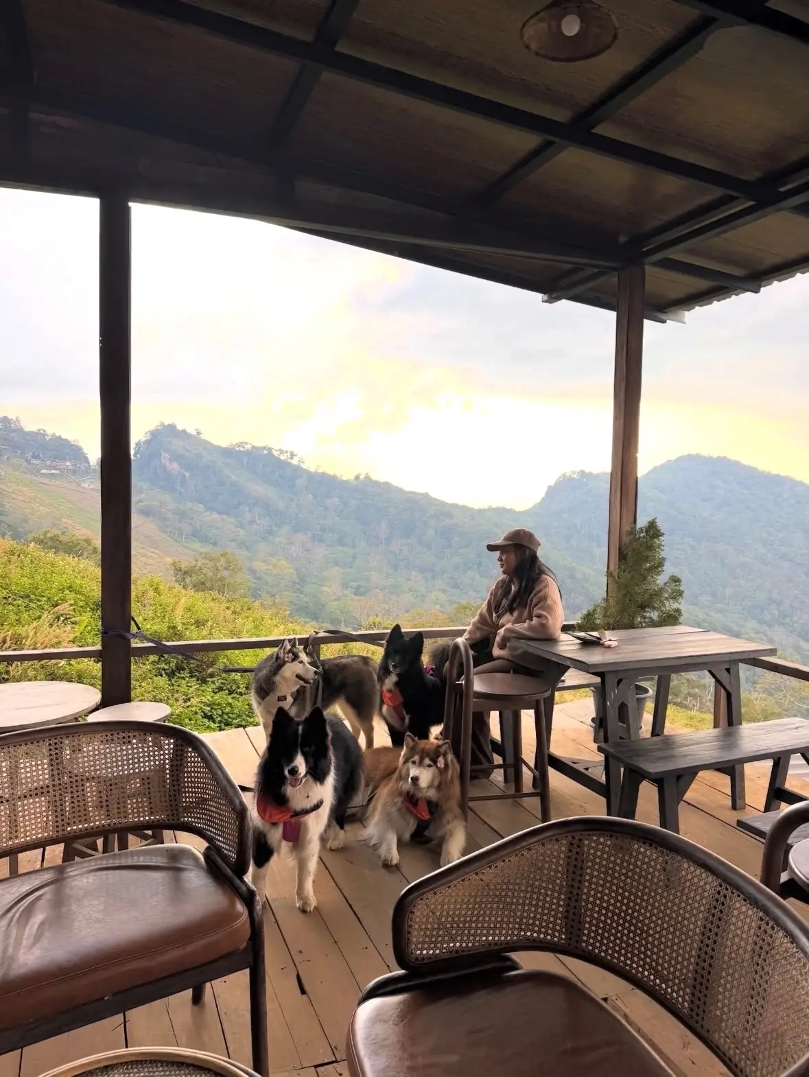 Jansom Home & Cafe pets image 3