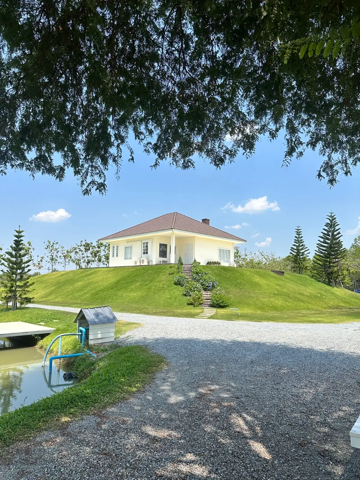 Homie's cafe overall image 1