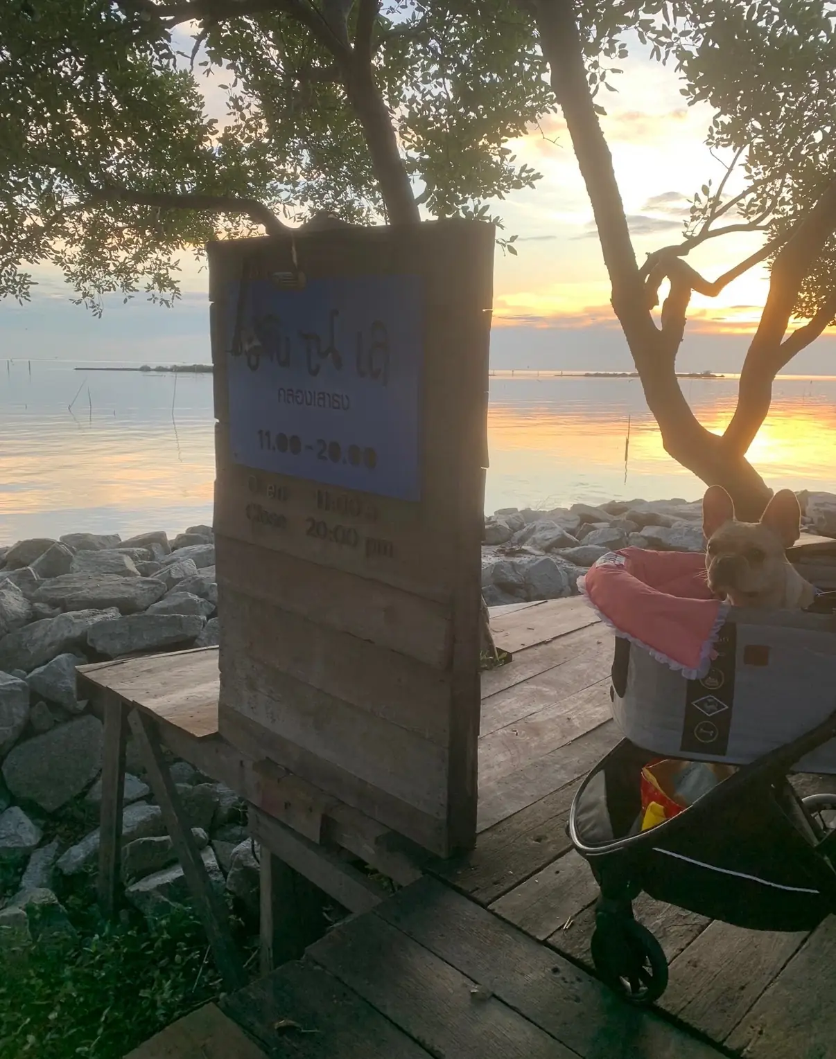 บ้าน ณ เล pets image 3