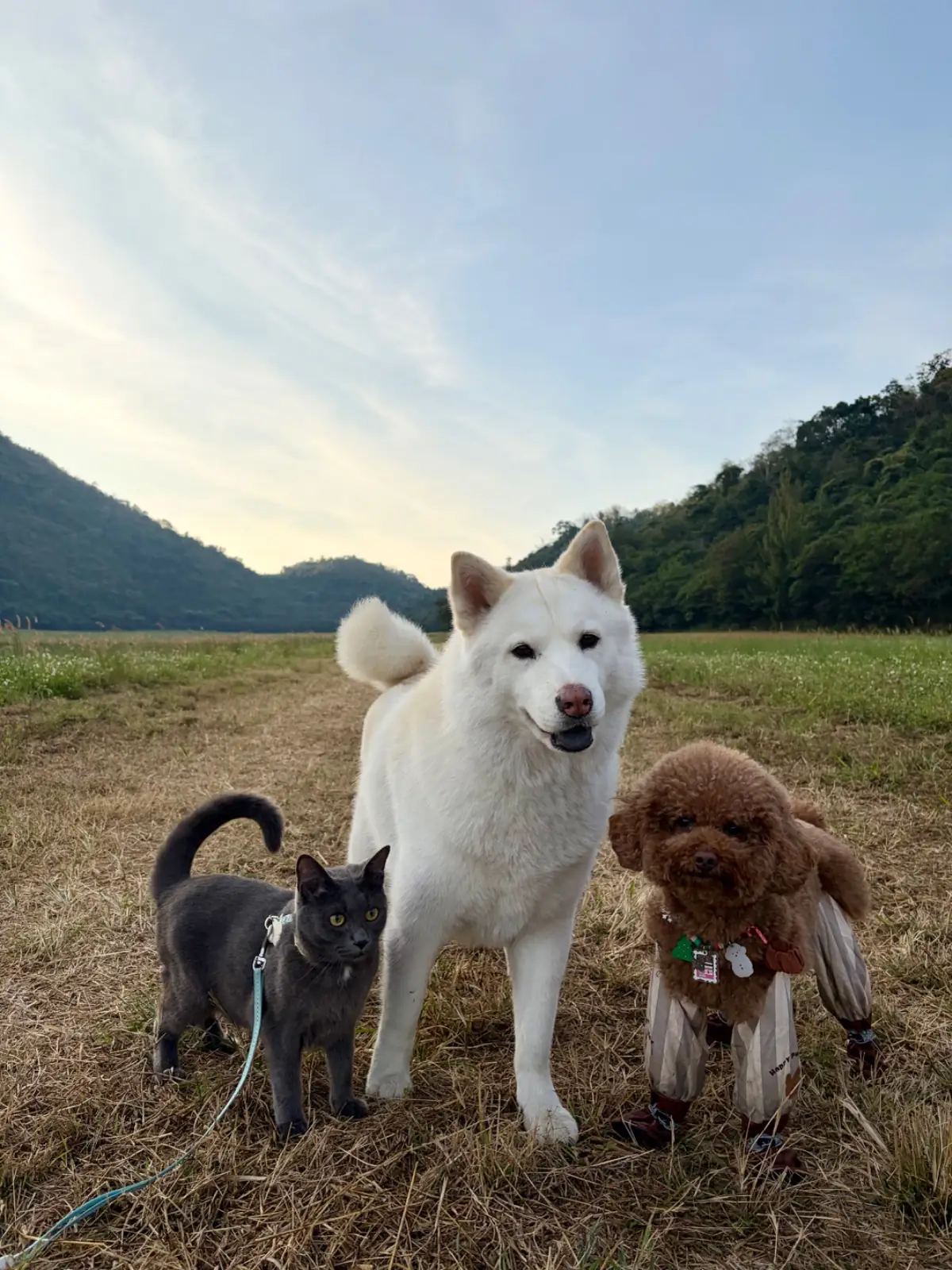 Wild Calling Farm Park pets image 1