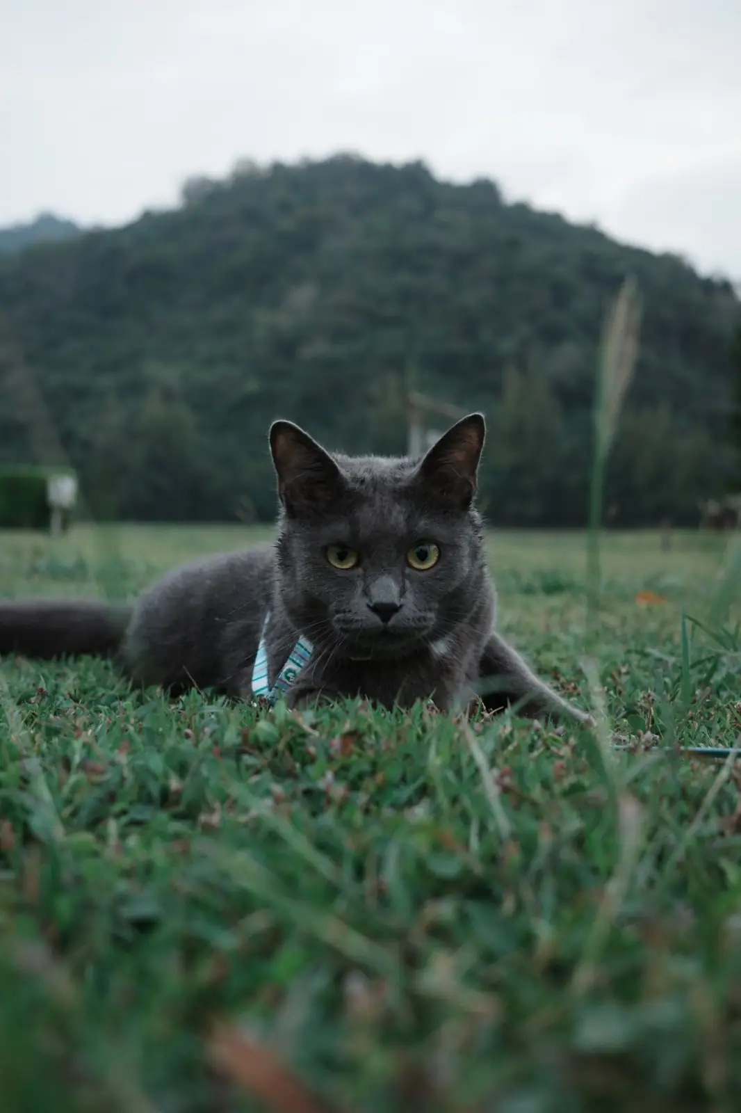 Wild Calling Farm Park pets image 2