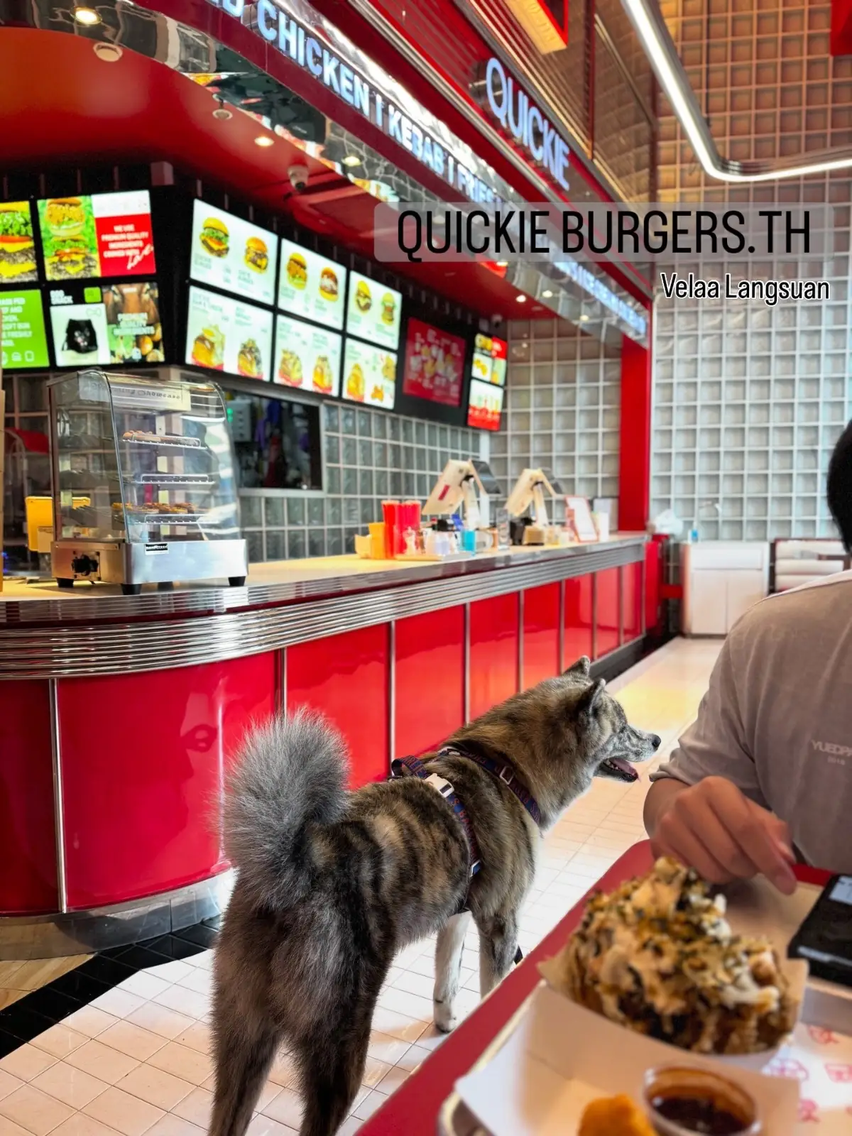 Quickie - Velaa Langsuan pets image 4