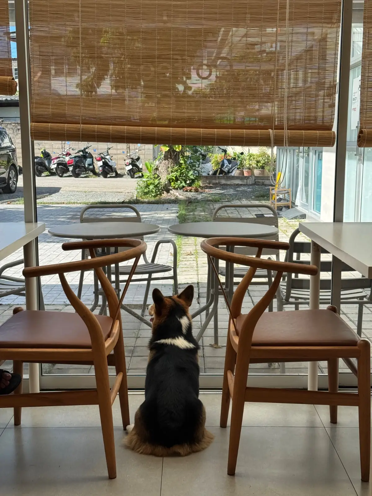 The Cofreze overall image 2