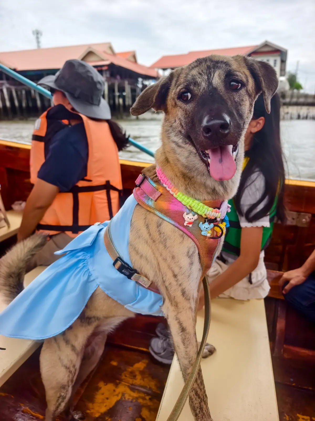 เจ๋งซีฟู้ด - Jeng Krua Shai Thaley pets image 2