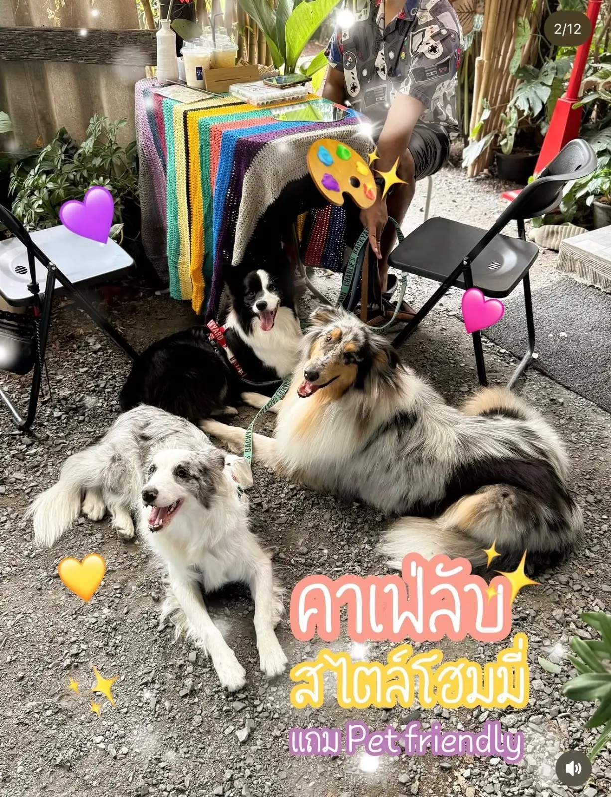 ฤดูภาพ Art&Cafe pets image 2