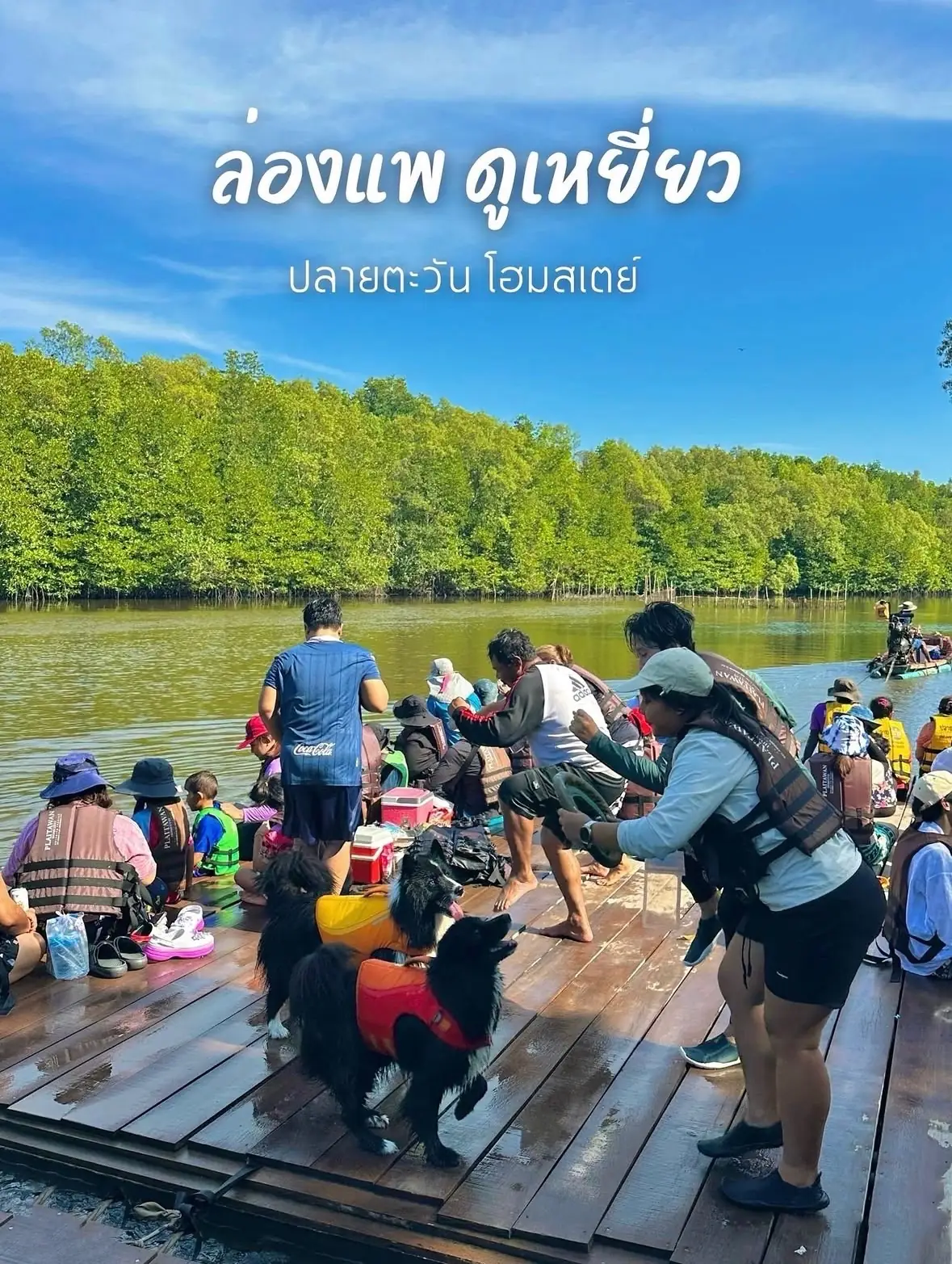 ปลายตะวัน โฮมสเตย์ - จันทบุรี pets image 5