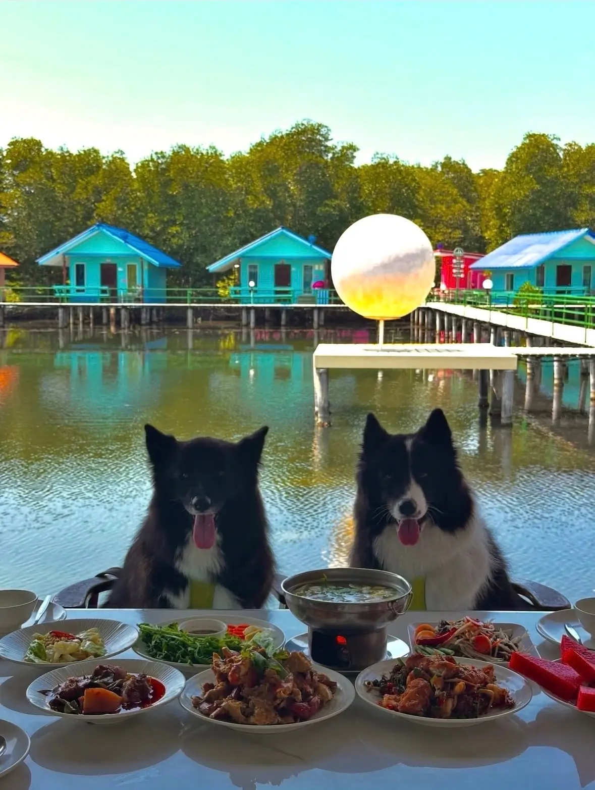 ปลายตะวัน โฮมสเตย์ - จันทบุรี pets image 2