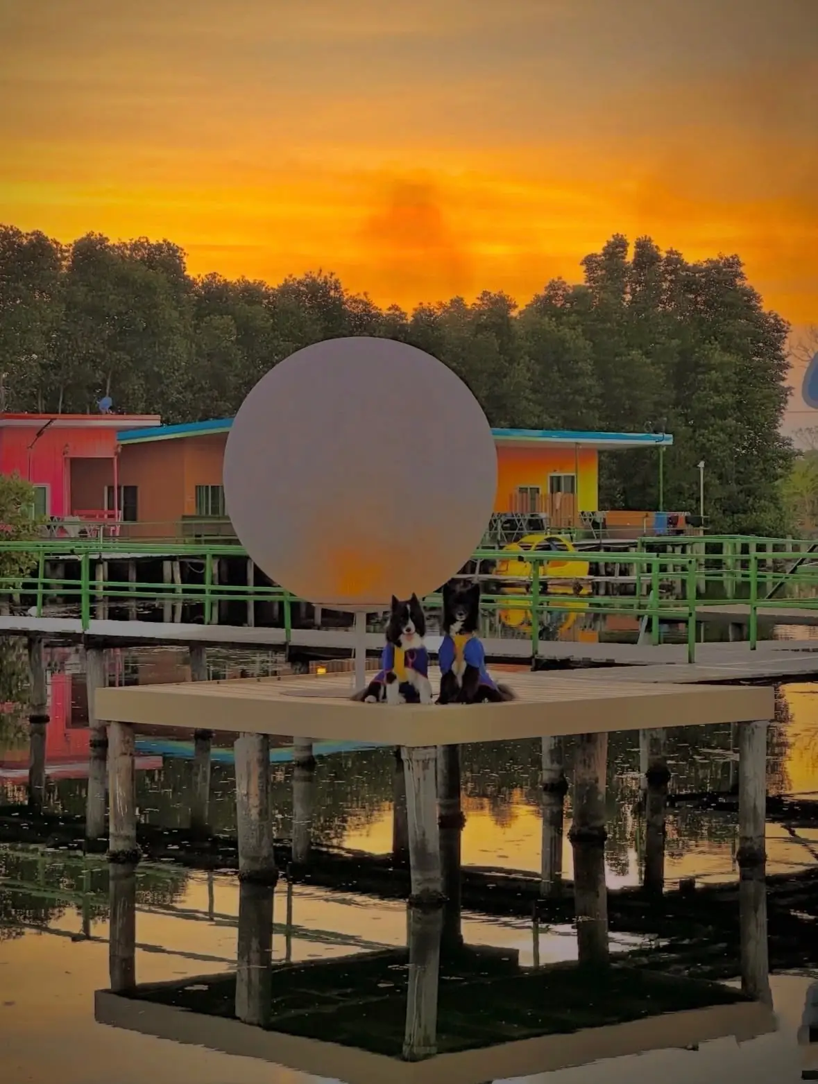 ปลายตะวัน โฮมสเตย์ - จันทบุรี pets image 3