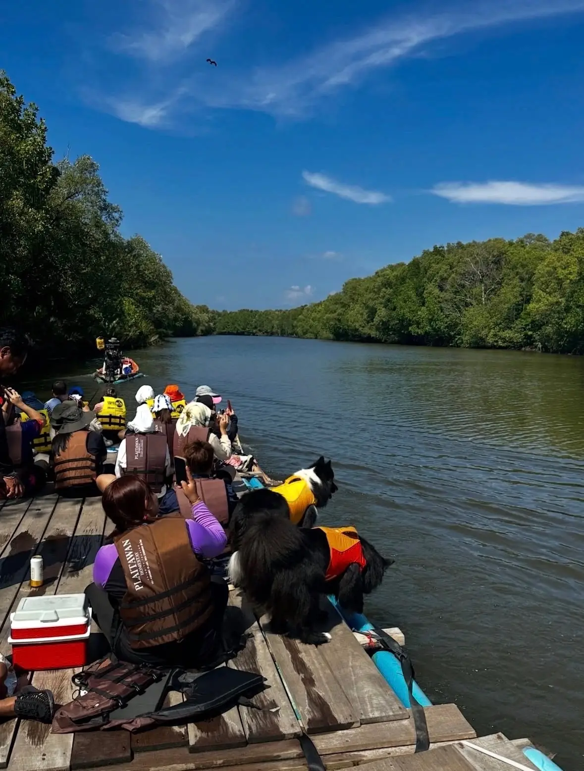 ปลายตะวัน โฮมสเตย์ - จันทบุรี pets image 4