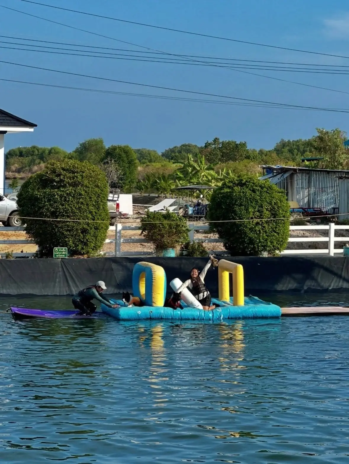 ปลายตะวัน โฮมสเตย์ - จันทบุรี pets image 1