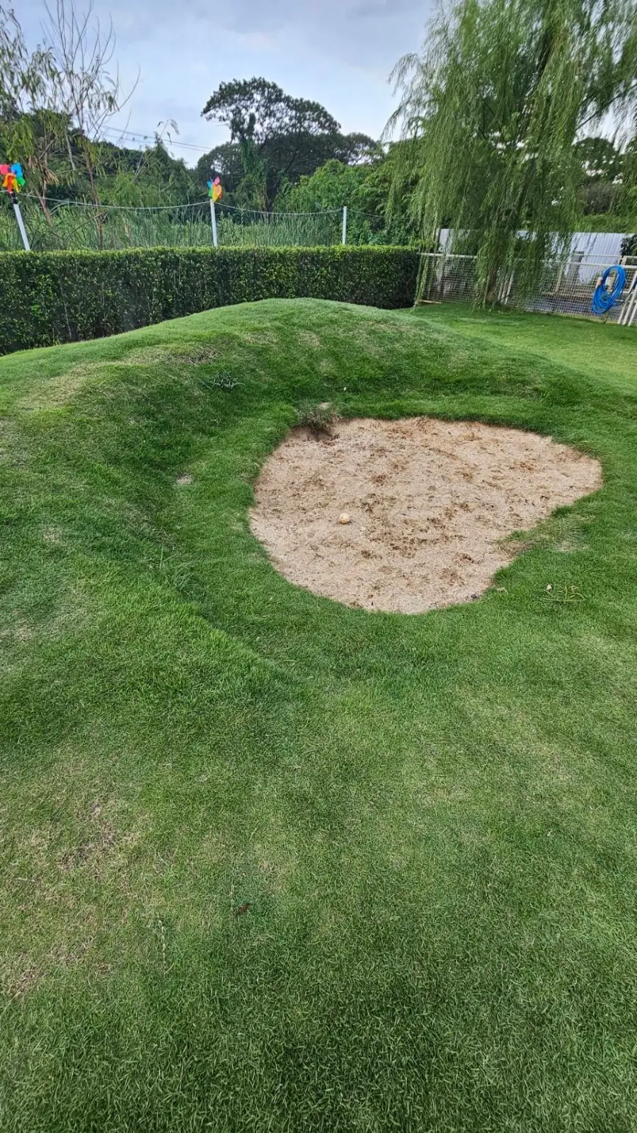 The Pethouse other image 3