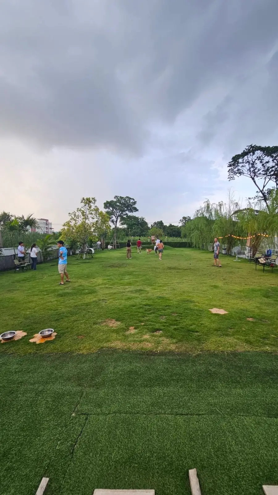 The Pethouse other image 1