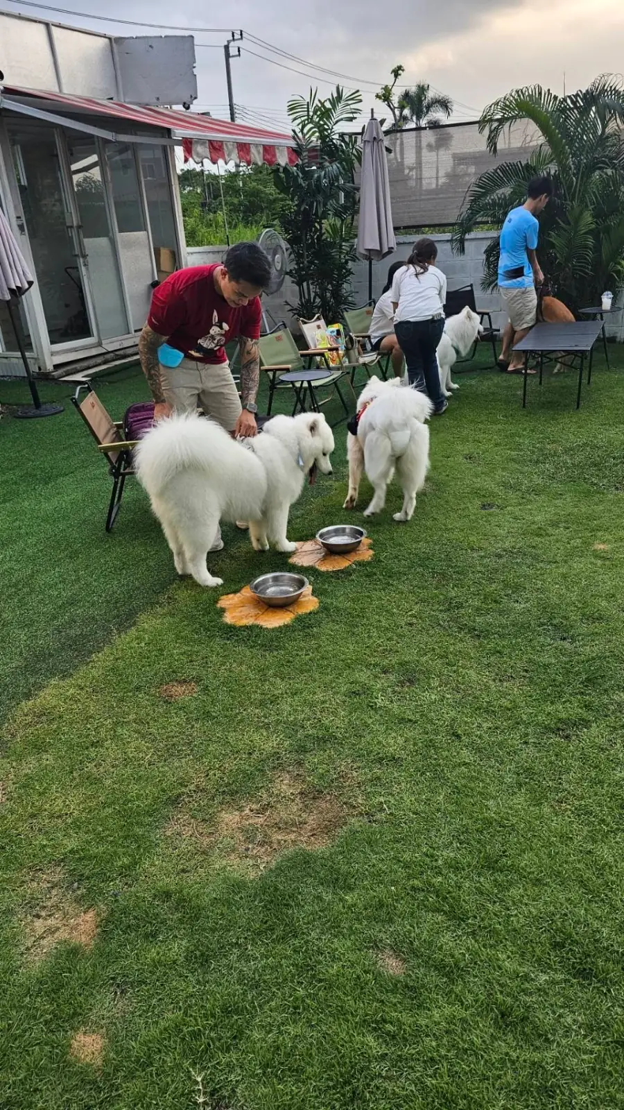 The Pethouse other image 2