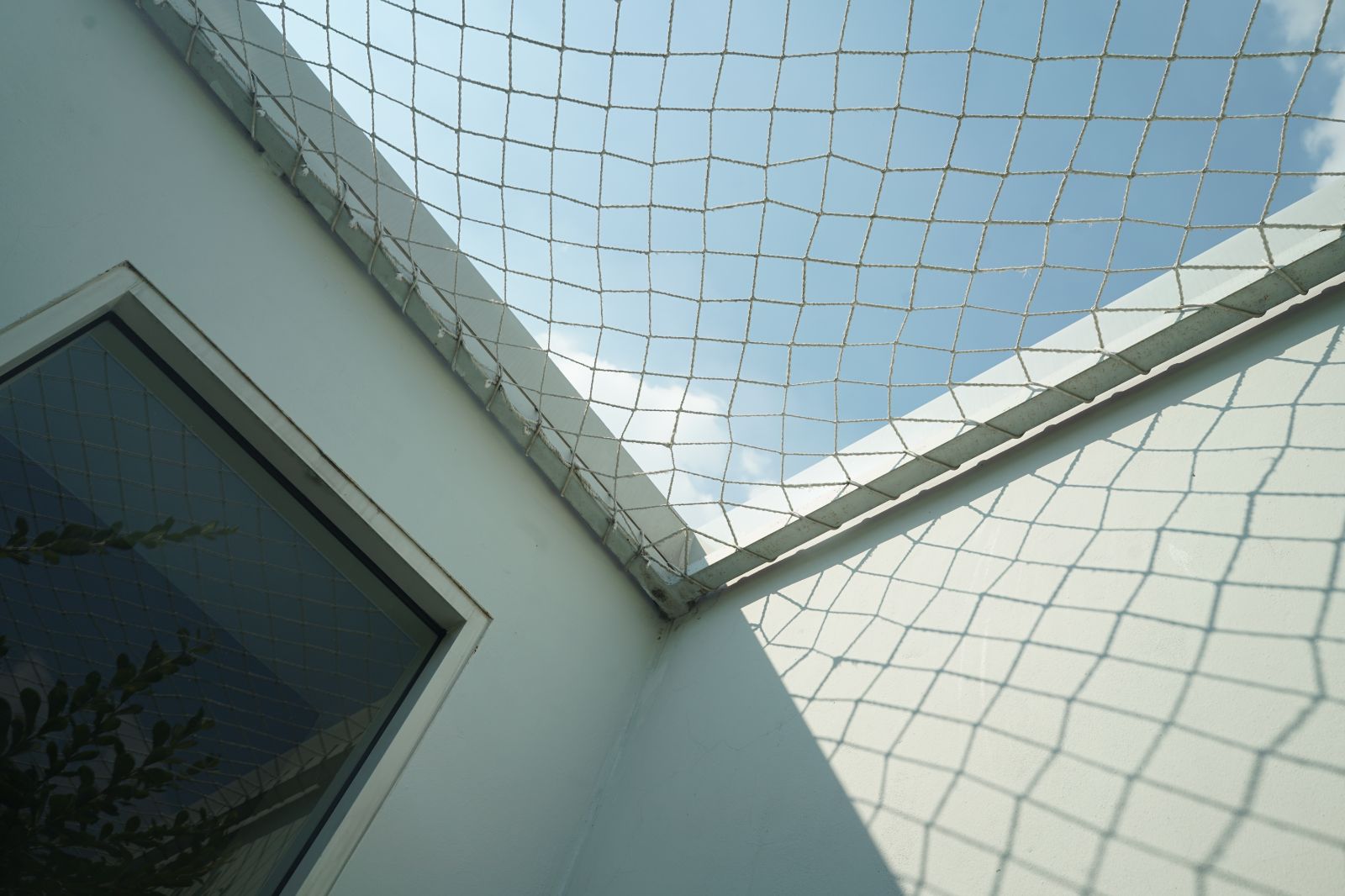 The Pethouse hero image 34