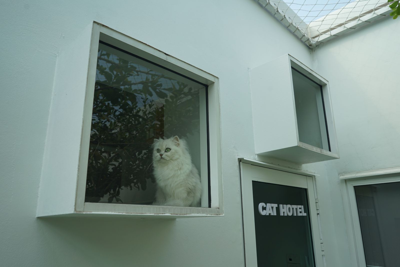 The Pethouse hero image 29