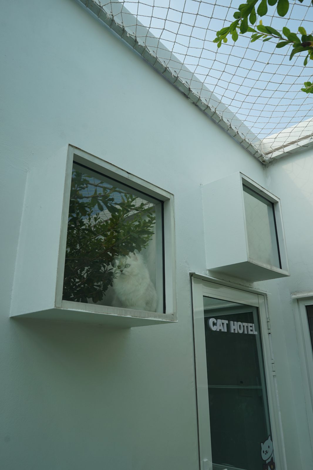 The Pethouse hero image 39