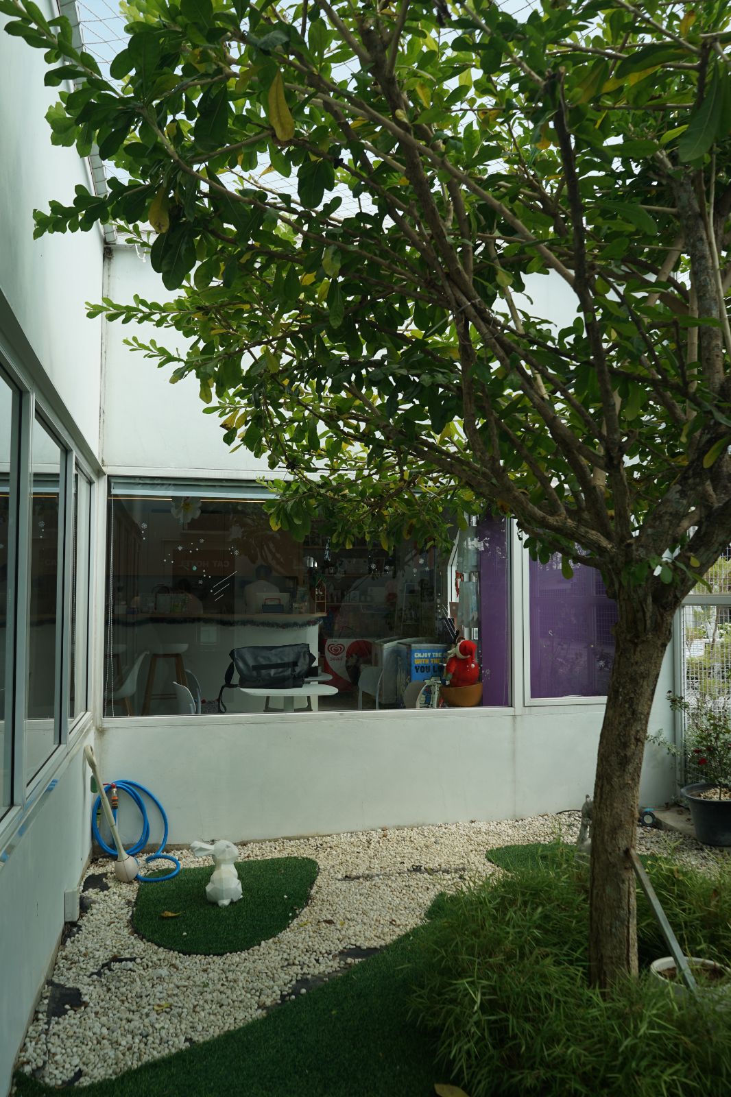 The Pethouse hero image 20