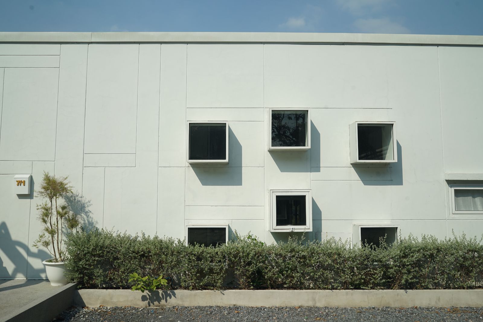 The Pethouse hero image 61