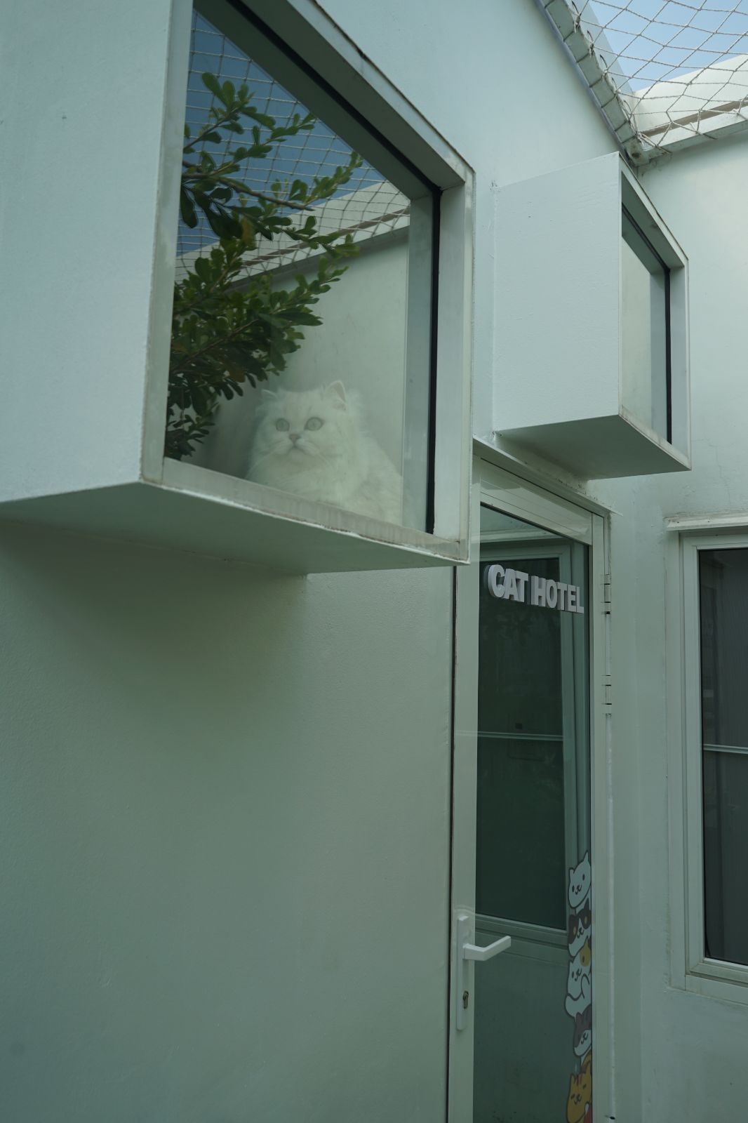 The Pethouse hero image 21