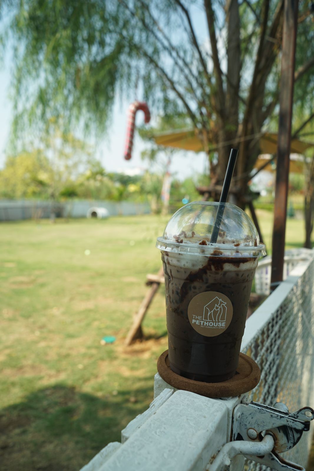 The Pethouse hero image 54