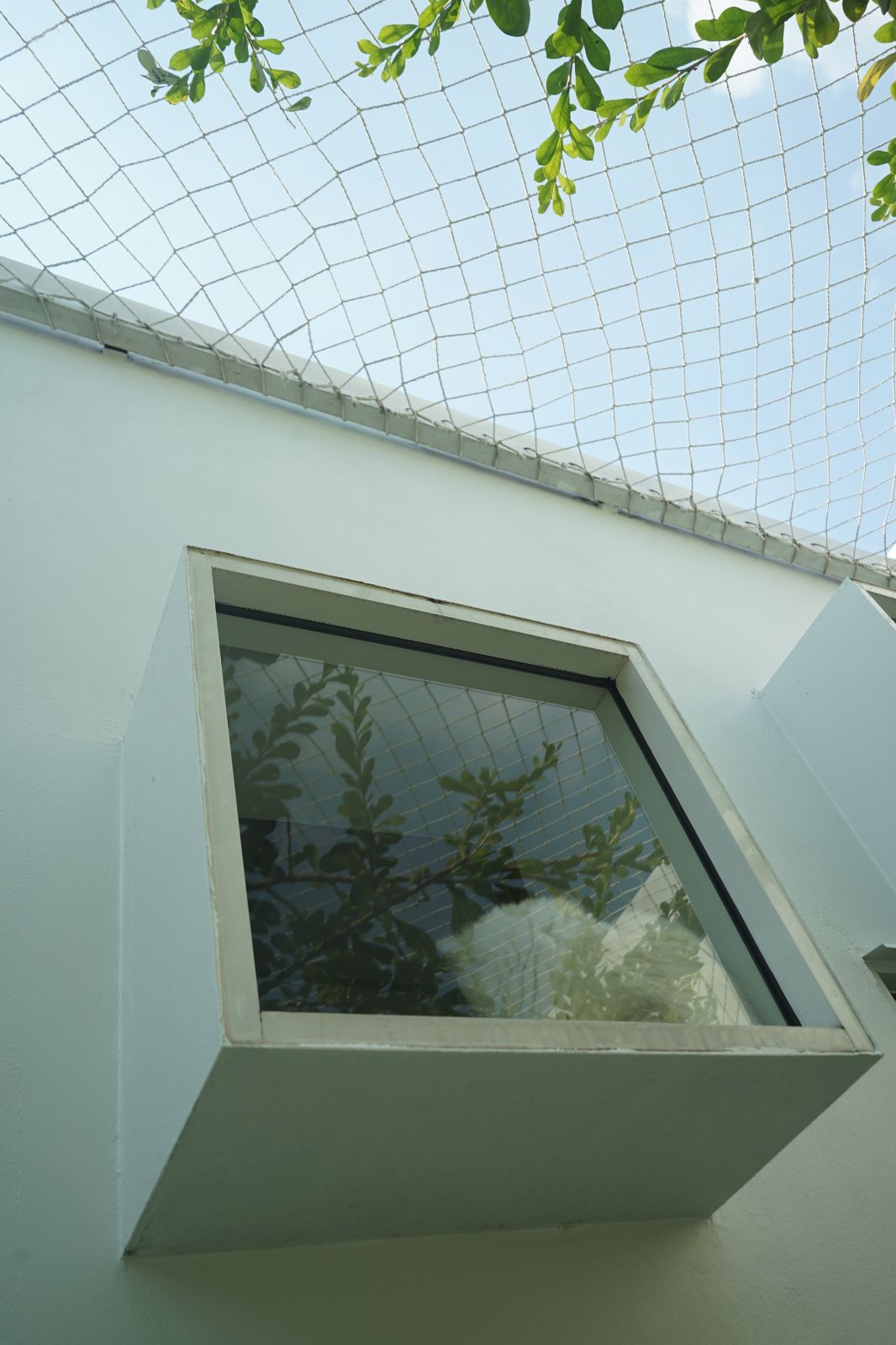 The Pethouse hero image 35