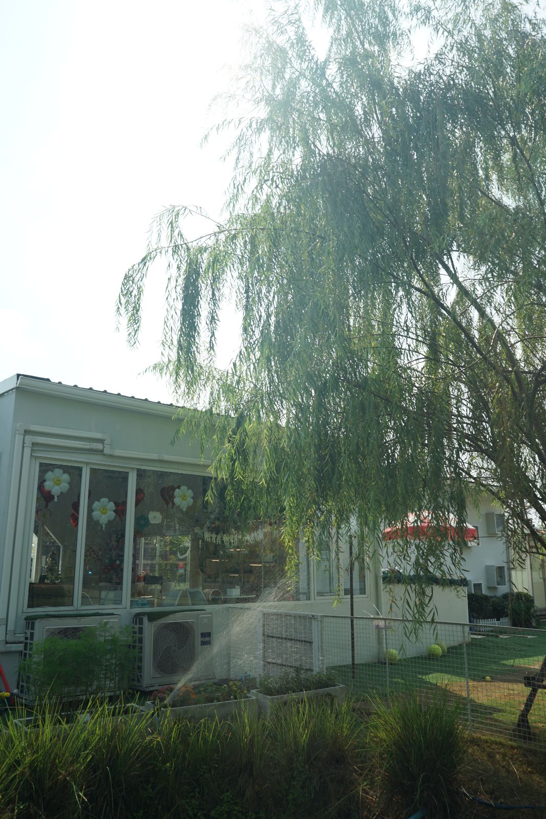 The Pethouse hero image 52