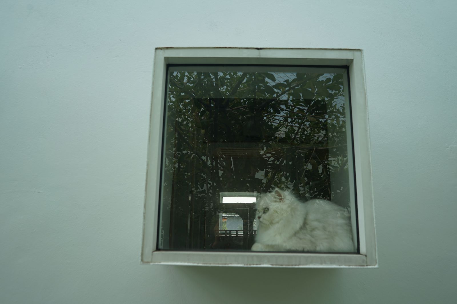 The Pethouse hero image 14